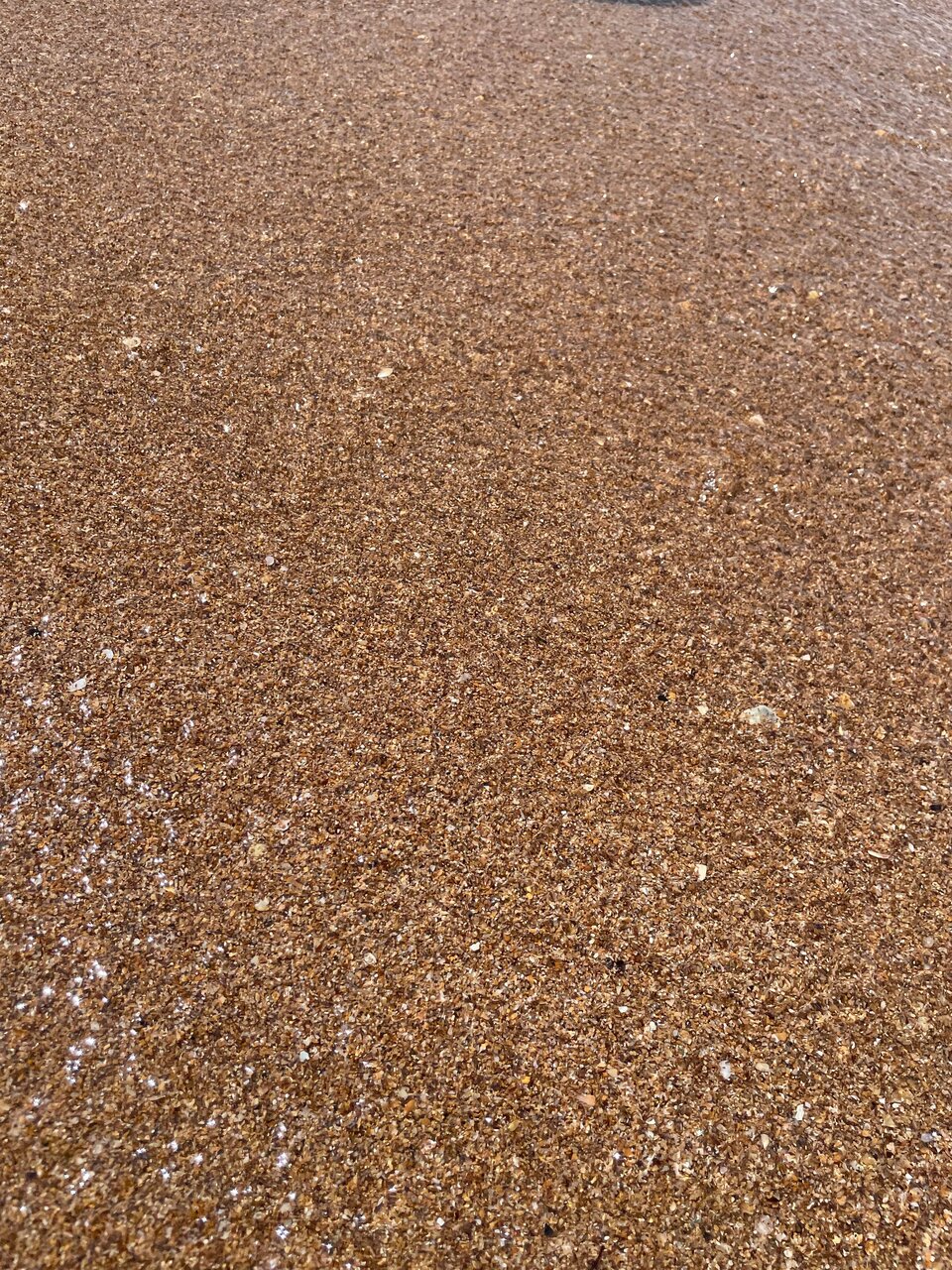 Гостиница Азария Геленджик-134