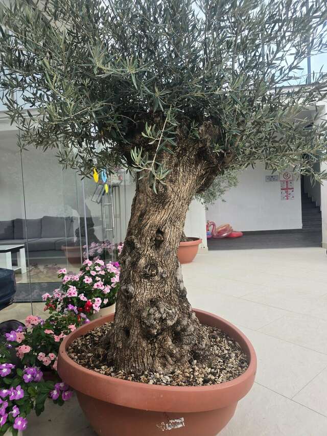 Гостиница Азария Геленджик-156